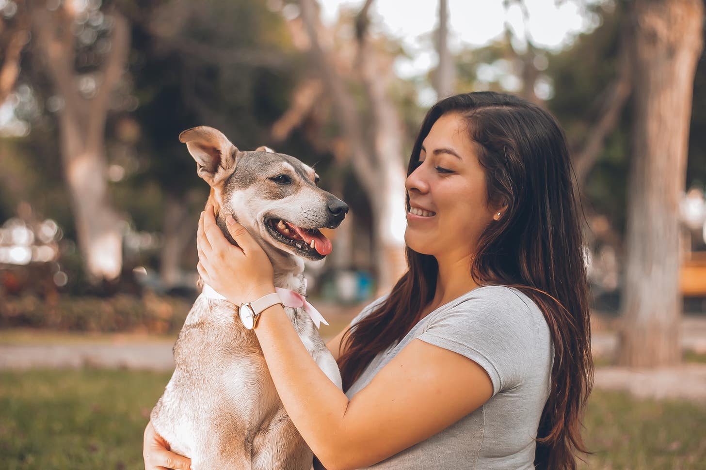 How to Become a Dog Trainer