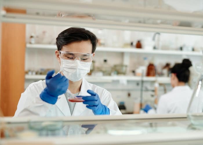 How to Become A Pharmacist How to Become A Pharmacist
